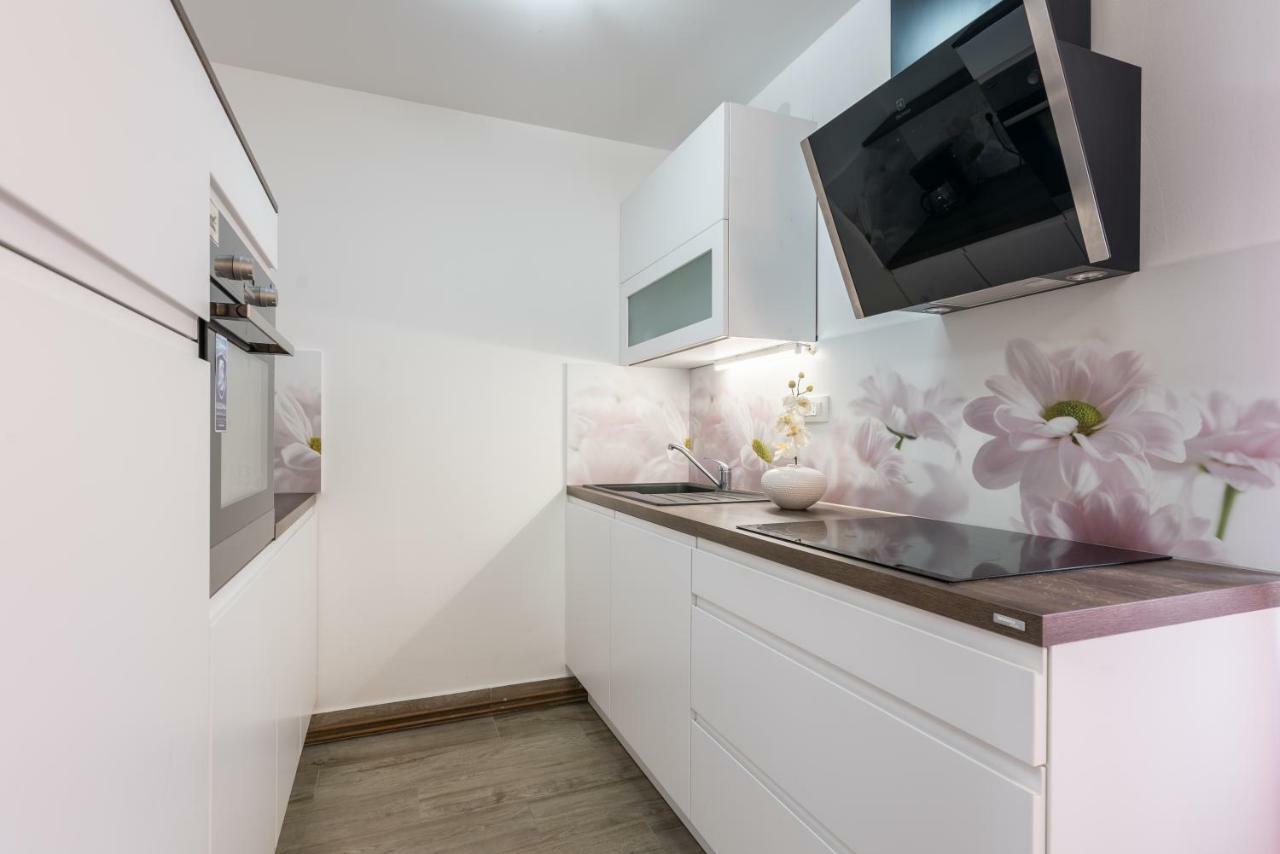 מאלינסקה Apartments Vila Dk מראה חיצוני תמונה